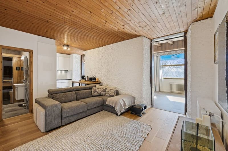 A Villars, 4p lumineux, rénové, avec entrée privative, possibilité pro (7)