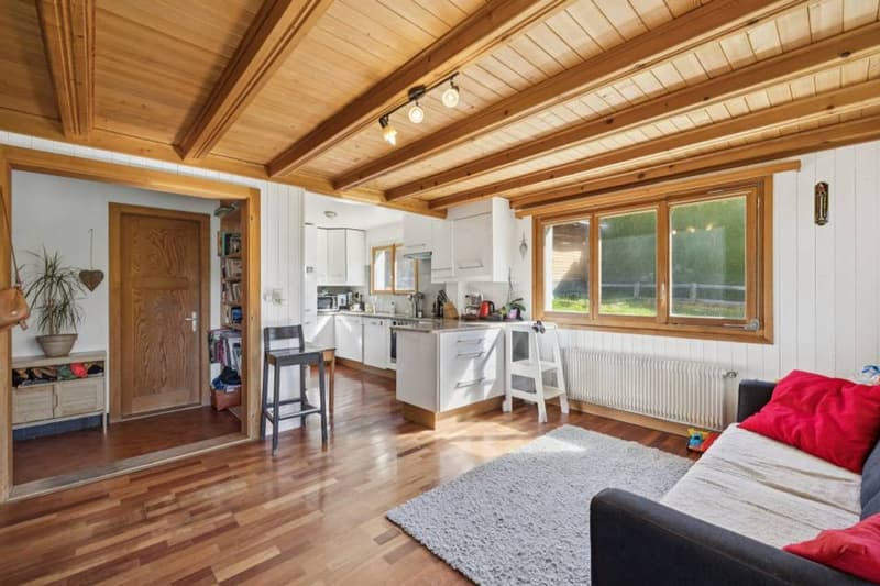 Family Chalet and 3.5 Room Apartment, Barboleuse, Close to Transport (10)