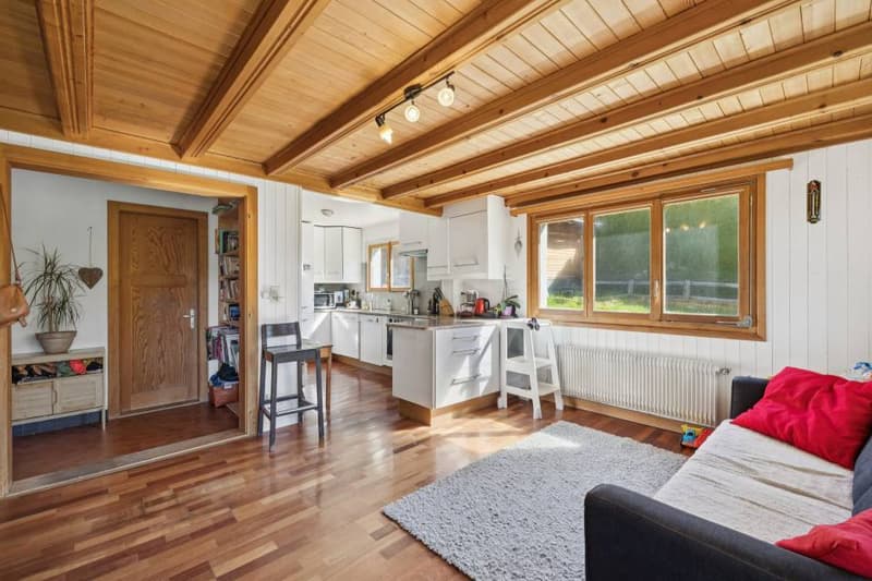 Family Chalet and 3.5 Room Apartment, Barboleuse, Close to Transport (10)
