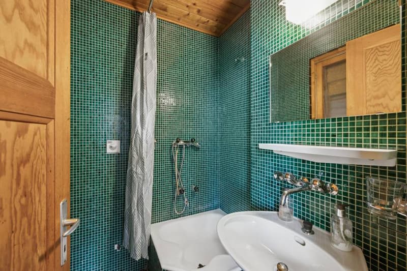 Family Chalet and 3.5 Room Apartment, Barboleuse, Close to Transport (8)