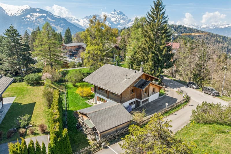 Family Chalet and 3.5 Room Apartment, Barboleuse, Close to Transport (1)