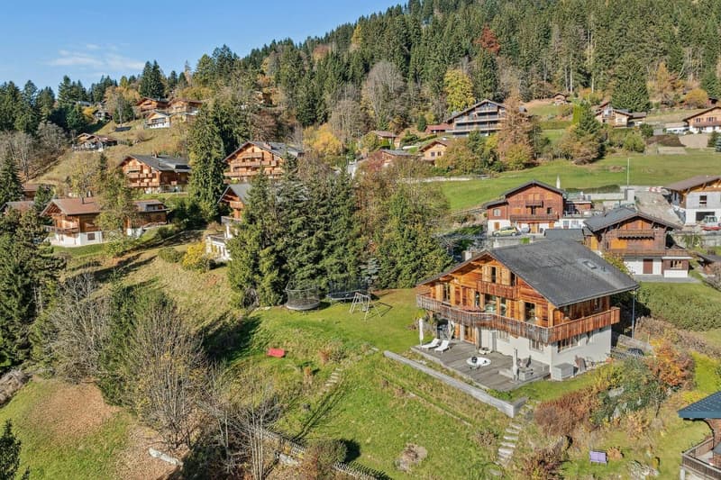 Chalet L'Etoile des Alpes, vue panoramique, proche des commodités (9)