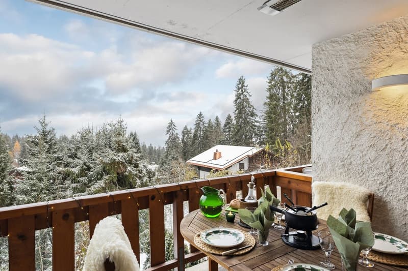 Très beau 6 pces, 3 balcons sud, belle vue, calme, proche des pistes (10)