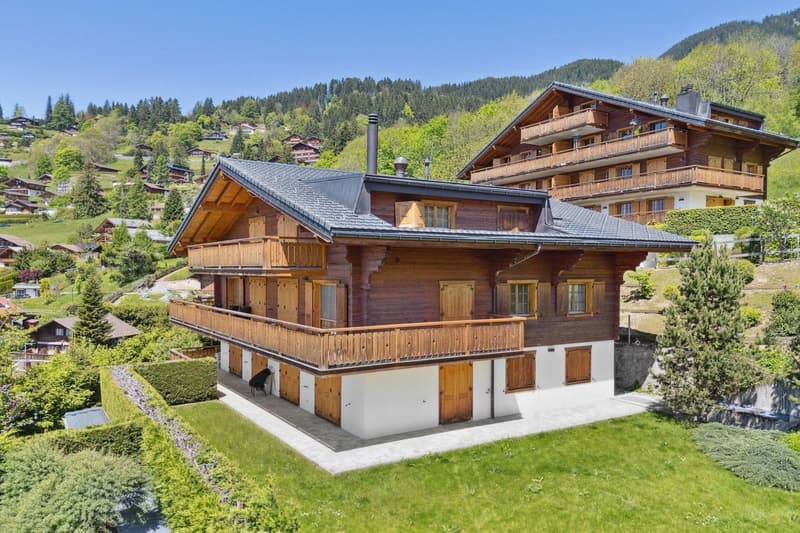 Exceptional 15-room chalet with elevator and panoramic views! (2)