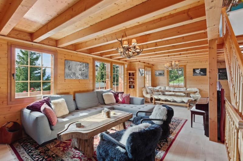 Chalet avec home cinema / jacuzzi intérieur / Vue panoramique (3)