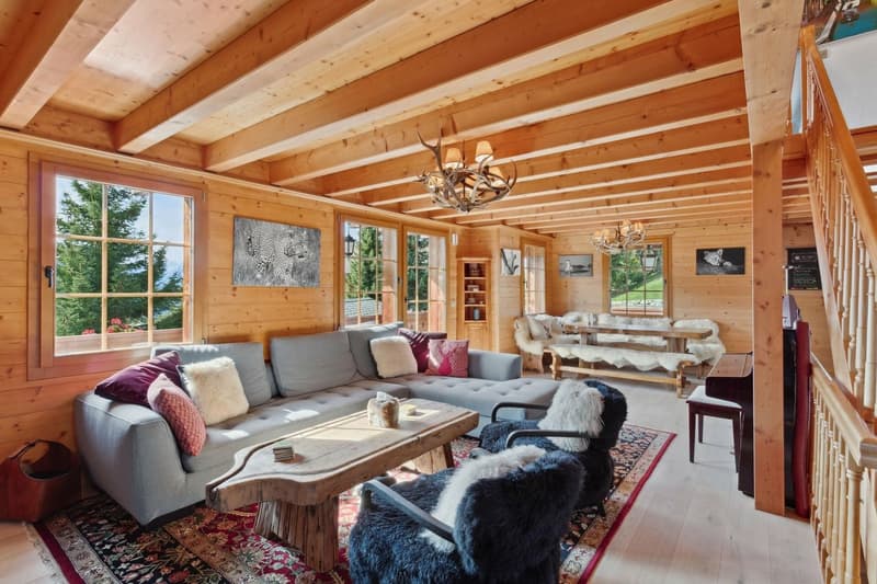 Chalet avec home cinema /  jacuzzi intérieur / Vue panoramique (3)
