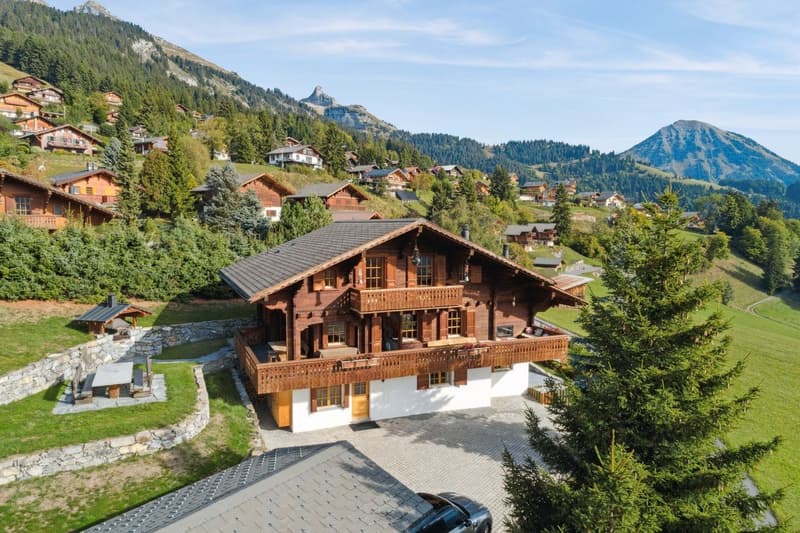 Chalet avec home cinema /  jacuzzi intérieur / Vue panoramique (8)