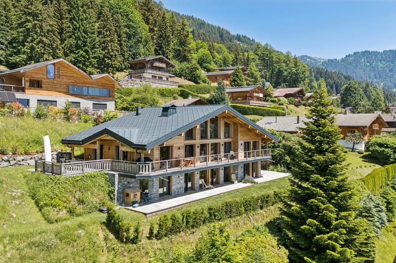 Die Alpine Exzellenz: Ein Prunkchalet in Villars-sur-Ollon (4)