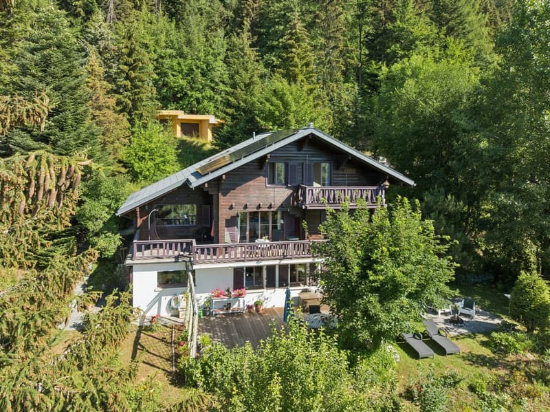 Charmant chalet orienté plein sud, niché dans un environnement paisible en lisière de forêt, offrant intimité, ensoleillement et un cadre de vie privilégié.