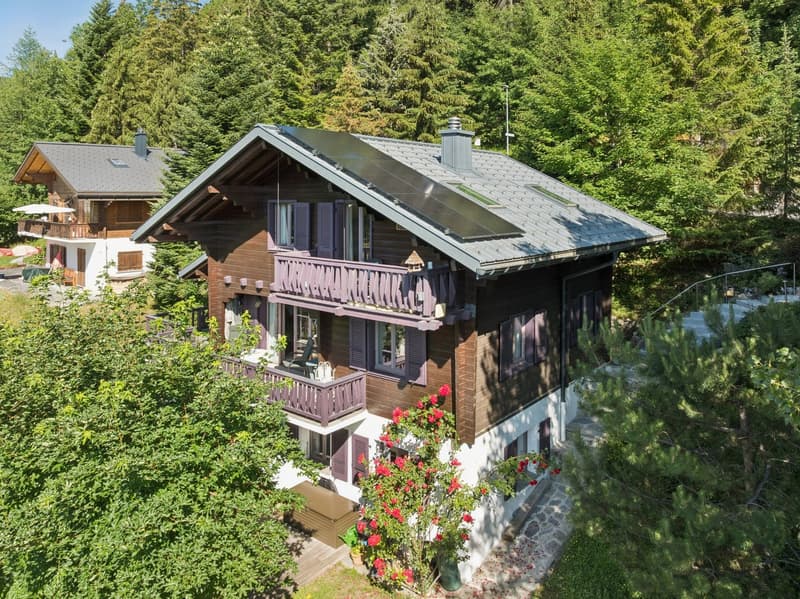 Une nouvelle perspective mettant en valeur l'architecture du chalet et son intégration harmonieuse dans son environnement naturel.