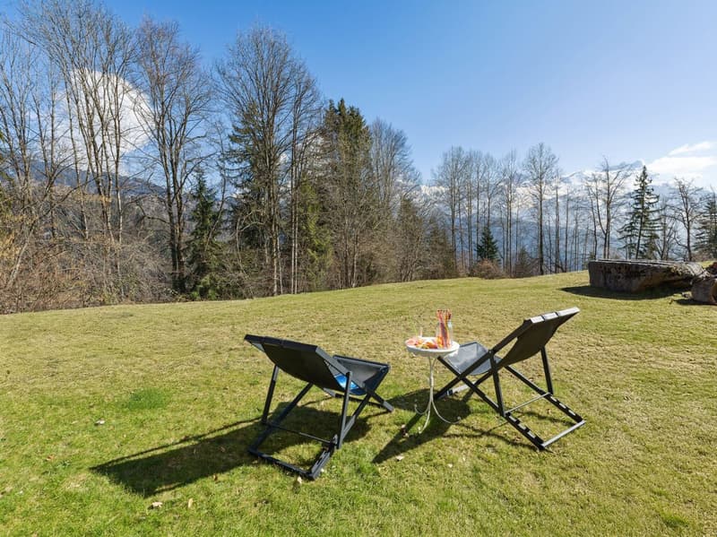 Magnificent 4.5-room apartment with fireplace, private garden, view, 2 parkings (3)