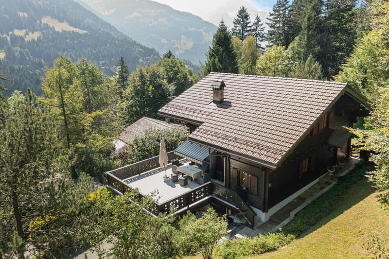Chalet Muir Woods - environnement verdoyant, proche des transports (11)