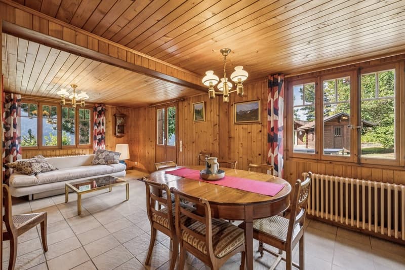 Spacieux chalet de 4 appartements avec vue spectaculaire et grand jard (5)