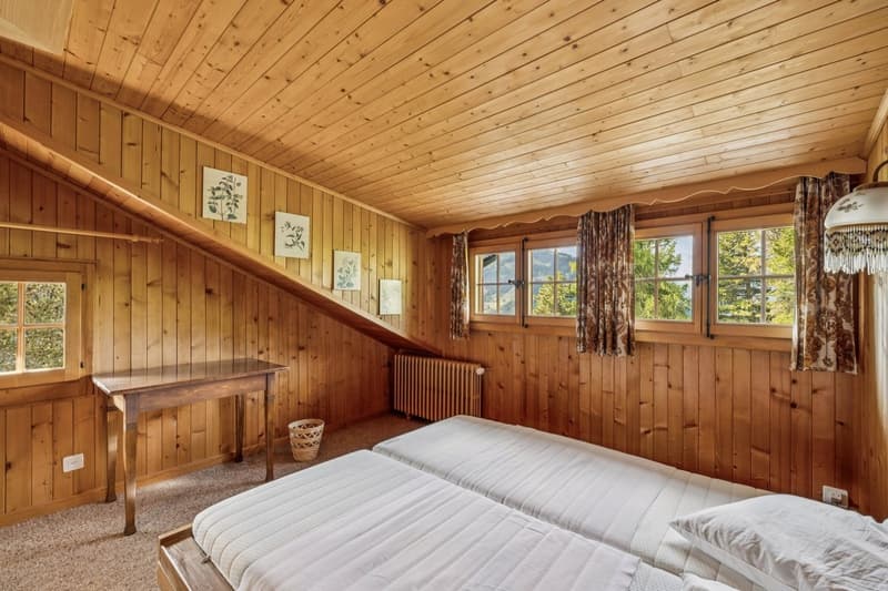 Spacieux chalet de 4 appartements avec vue spectaculaire et grand jard (8)