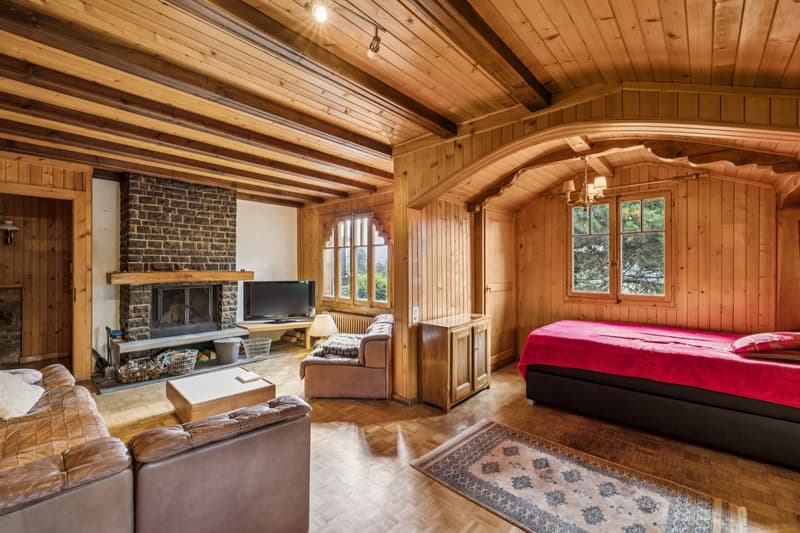 Spacieux chalet de 4 appartements avec vue spectaculaire et grand jard (6)