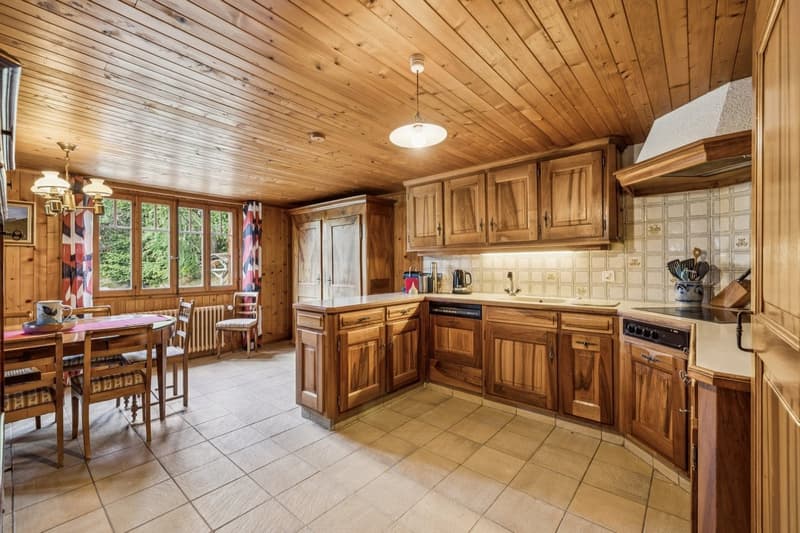 Spacieux chalet de 4 appartements avec vue spectaculaire et grand jard (5)