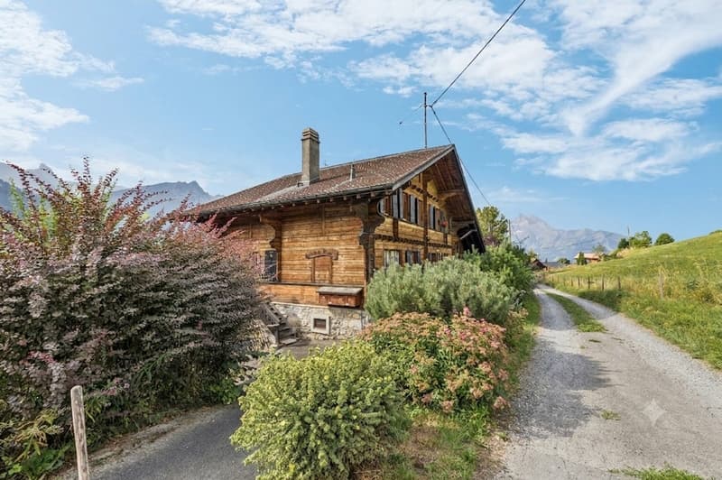 Spacieux chalet de 4 appartements avec vue spectaculaire et grand jard (3)