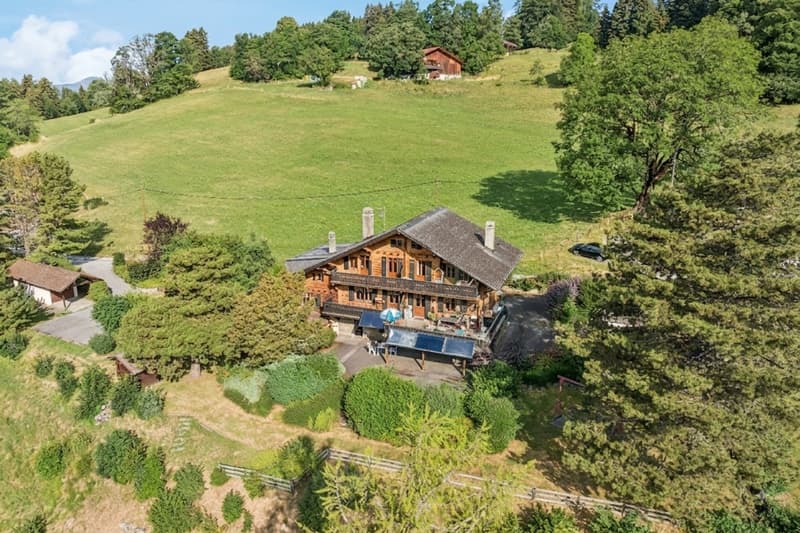 Spacieux chalet de 4 appartements avec vue spectaculaire et grand jard (1)