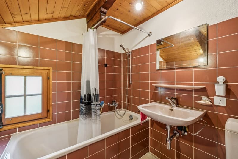 Spacieux chalet de 4 appartements avec vue spectaculaire et grand jard (9)