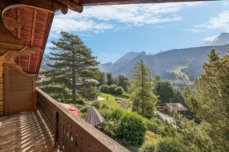 Spacieux chalet de 4 appartements avec vue spectaculaire et grand jard (3)