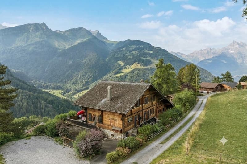 Spacieux chalet de 4 appartements avec vue spectaculaire et grand jard (1)