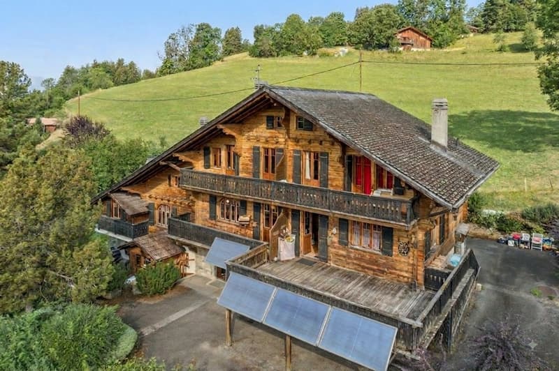 Spacieux chalet de 4 appartements avec vue spectaculaire et grand jard (4)