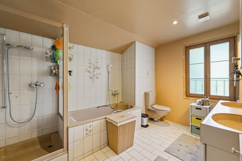 Chalet rénové sur les hauteurs de Gryon, studio indépendant, vue impre (7)