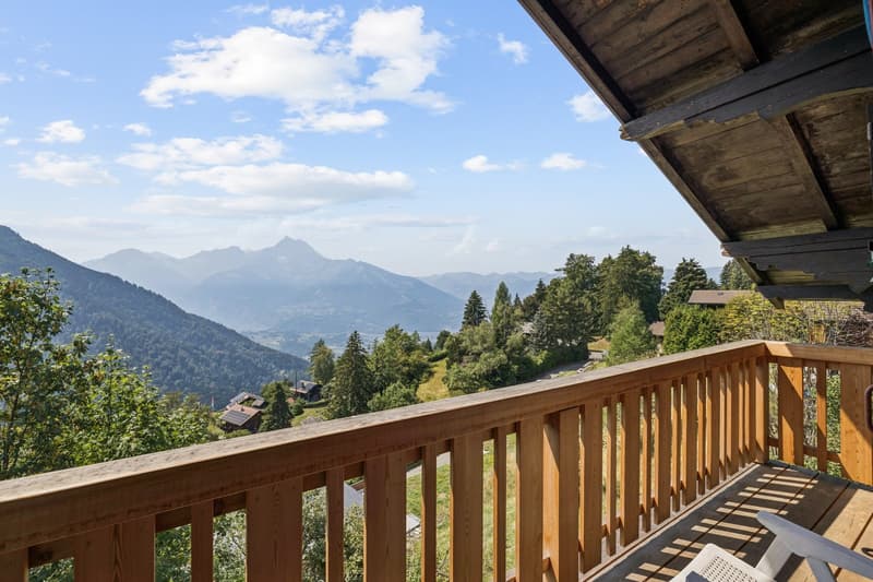 Chalet rénové sur les hauteurs de Gryon, studio indépendant, vue impre (8)