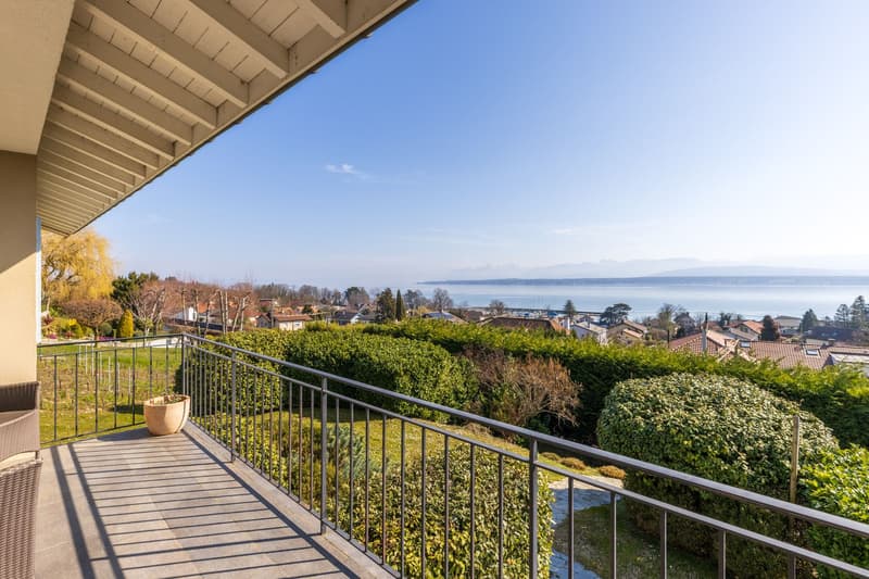 Villa with a view of the lake and the Alps (7)