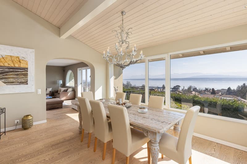 Villa with a view of the lake and the Alps (5)