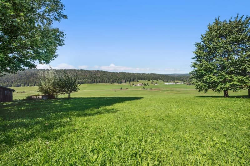 Ferme du XVIIe siècle rénovée au coeur de la Vallée de Joux (2)