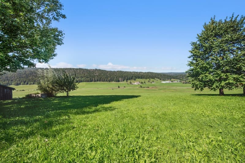 17th century renovated farm in the heart of the Joux Valley (2)