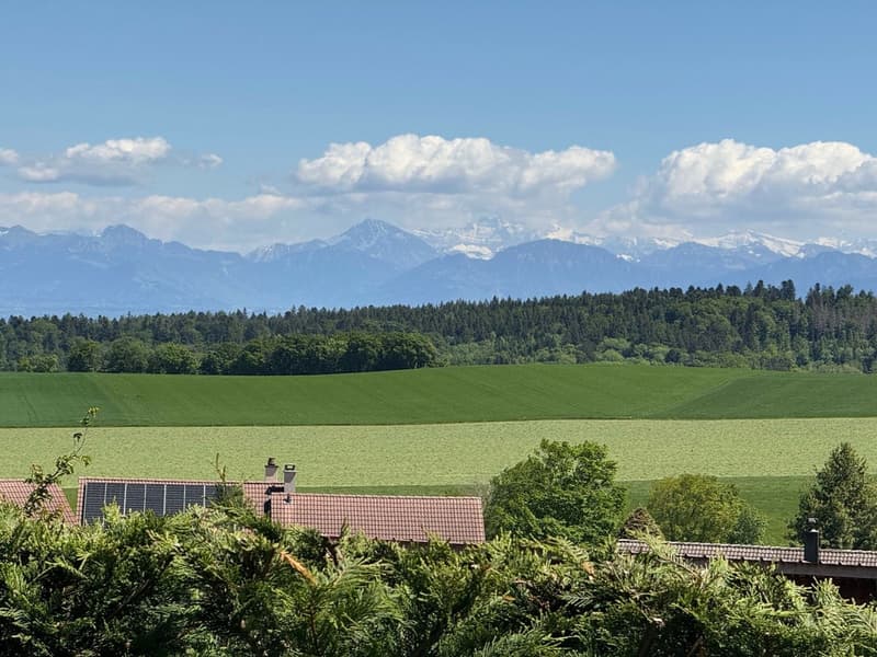 Vue Alpes