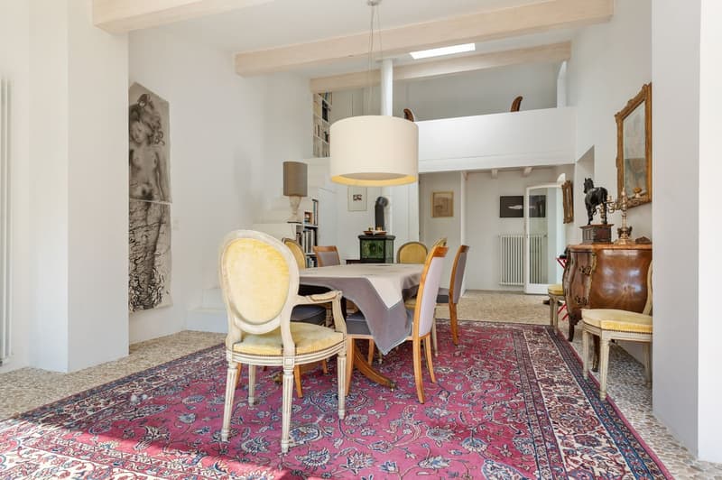 Character house with pool and rental potential (6)