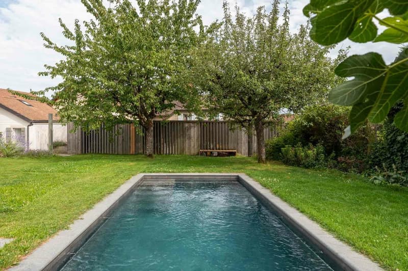Character house with pool and rental potential (11)