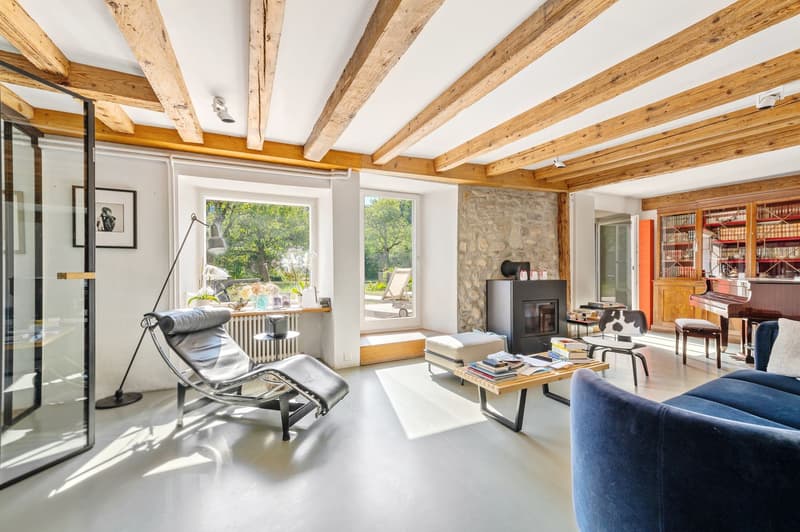 Character house with pool and rental potential (3)