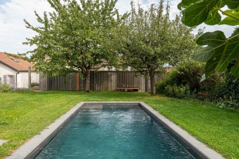 Character house with pool and rental potential (11)