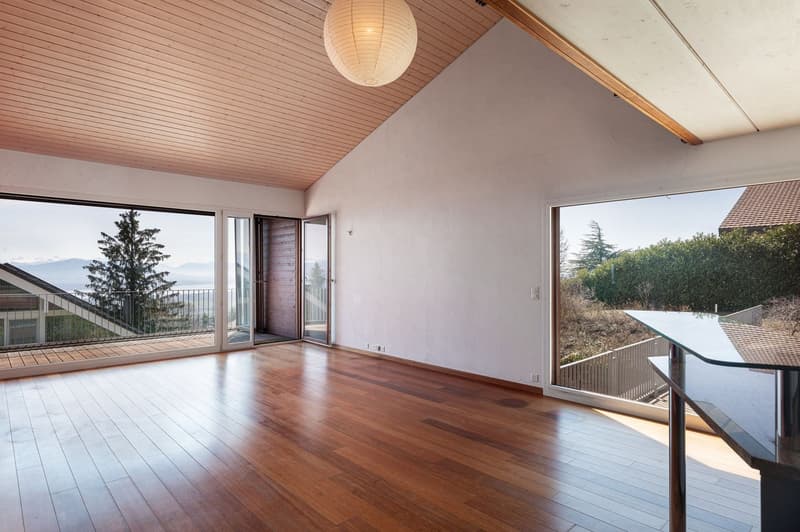Schönes Architektenhaus mit Blick auf den Genfersee (6)