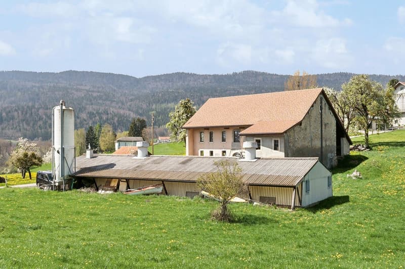 A rénover : Grand volume et beau potentiel (2)