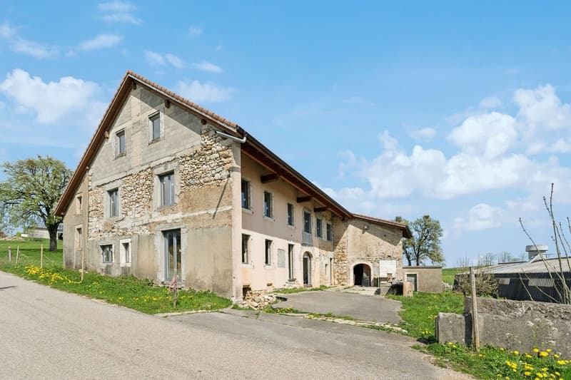 A rénover : Grand volume et beau potentiel (4)