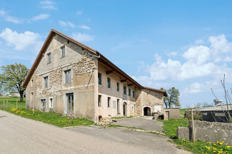 A rénover : Grand volume et beau potentiel (4)