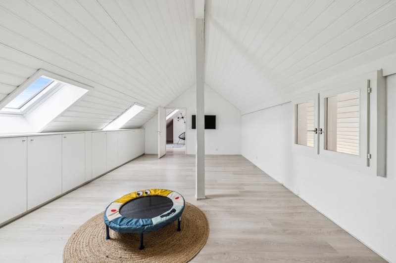 Spacieux duplex de plus de 200m2 utile (11)