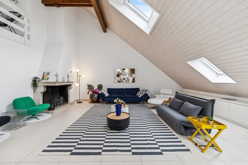 Spacieux duplex de plus de 200m2 utile (2)