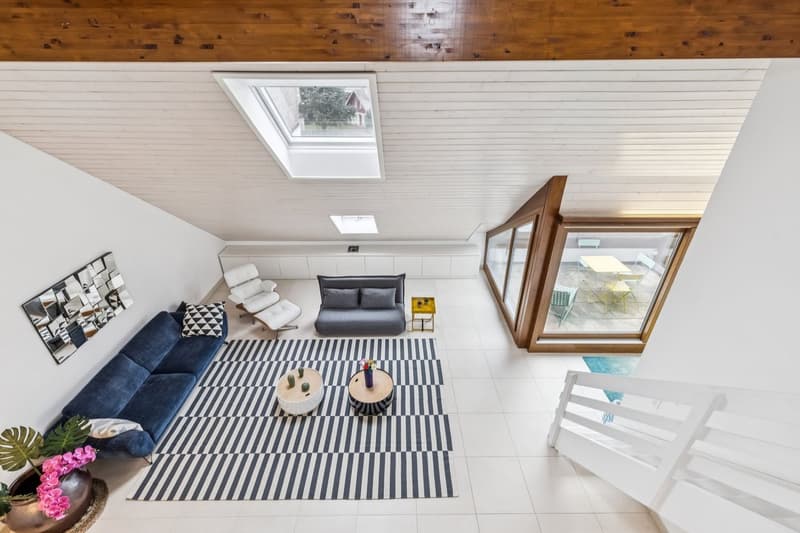 Spacieux duplex de plus de 200m2 utile (3)