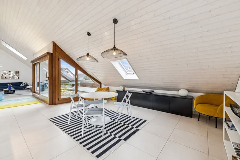 Spacieux duplex de plus de 200m2 utile (4)