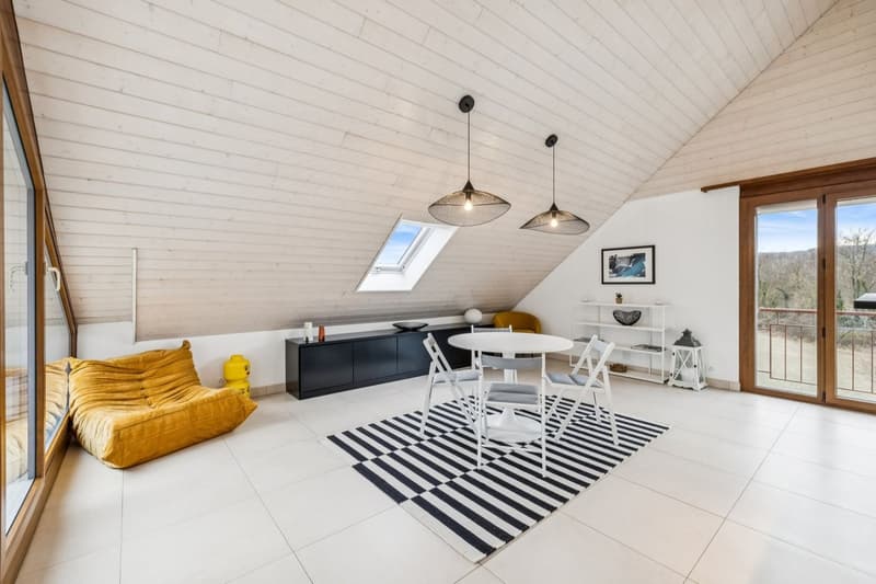 Spacieux duplex de plus de 200m2 utile (5)