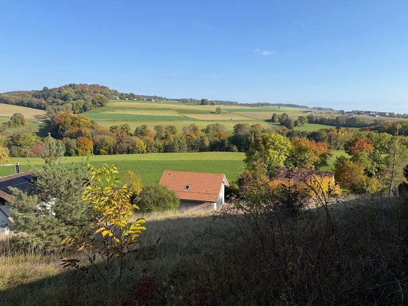 Bauparzelle mit atemberaubendem Blick auf die Alpen! (11)