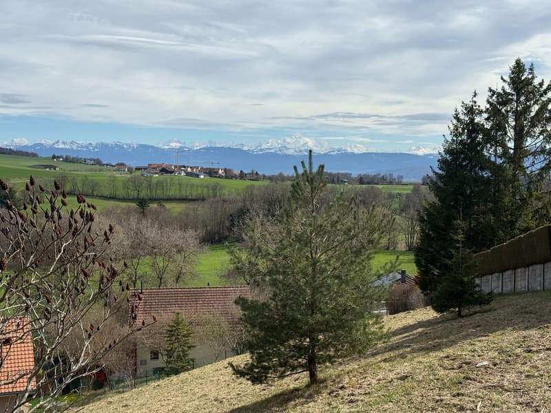 Bauparzelle mit atemberaubendem Blick auf die Alpen! (5)