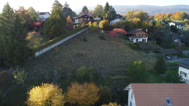 Bauparzelle mit atemberaubendem Blick auf die Alpen! (9)