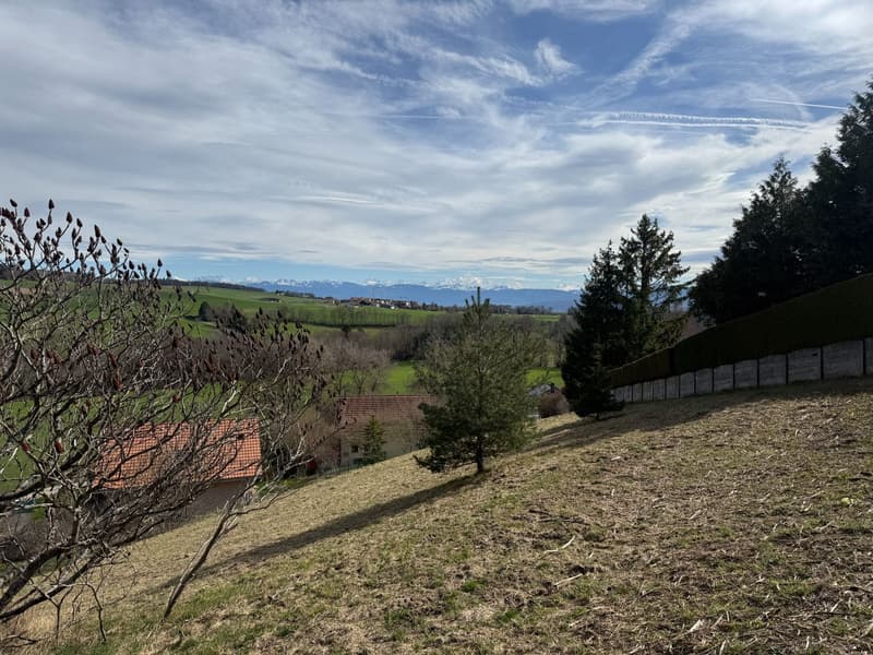 Bauparzelle mit atemberaubendem Blick auf die Alpen! (6)